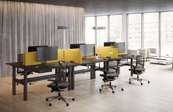 Höhenverstellbarer Schreibtisch CREW Palmberg Dynamik Effizienz Büroausstattung ergonomisch einfach verstellbar 2in1 Trennwand
